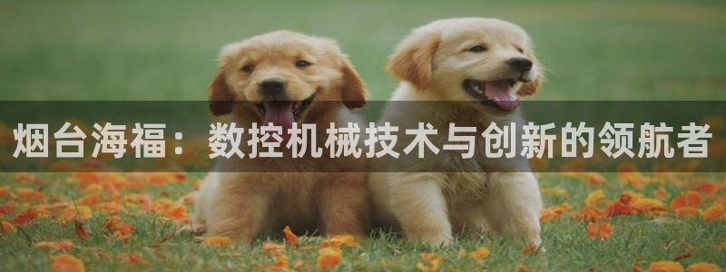 天辰娱乐注册