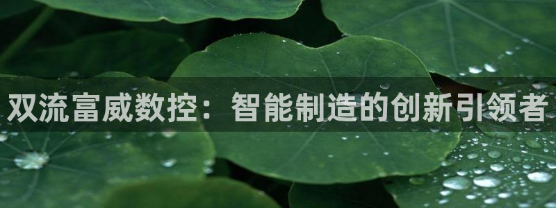 天辰娱乐小妹