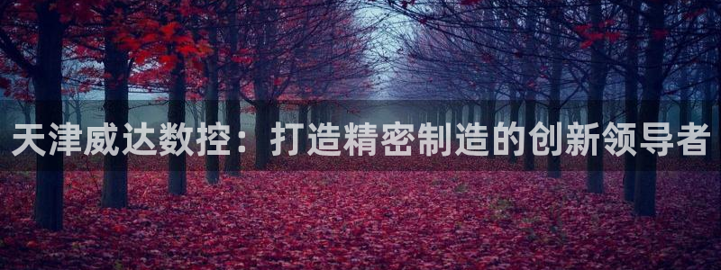 天辰娱乐728567