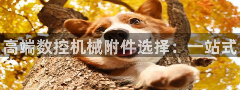 天辰娱乐指定