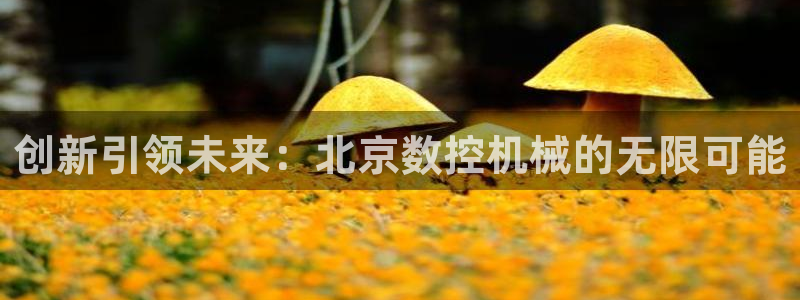 天辰娱乐厕所