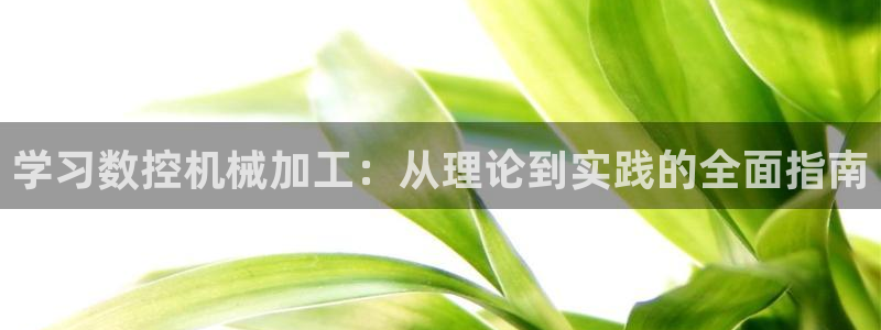 天辰娱乐服务