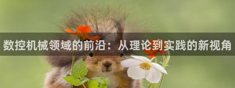 天辰娱乐 849852