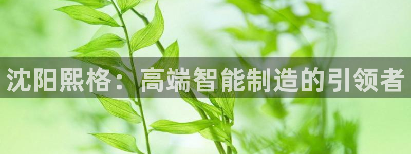 大庆天辰娱乐