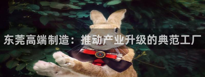 天辰娱乐 主管