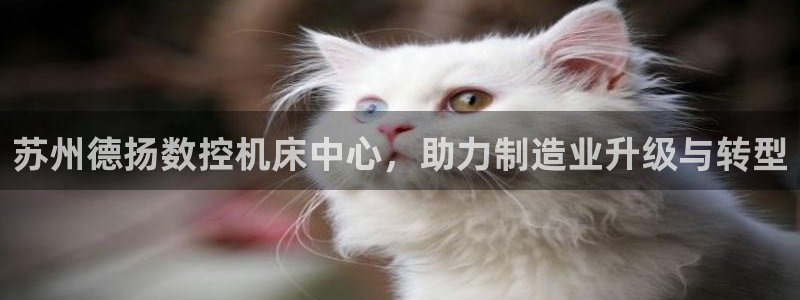 哈尔滨天辰娱乐