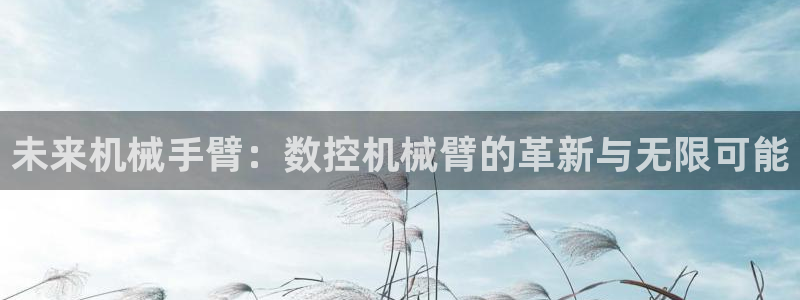 天辰娱乐公司