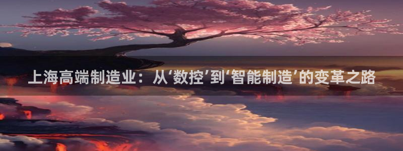 天辰娱乐卡