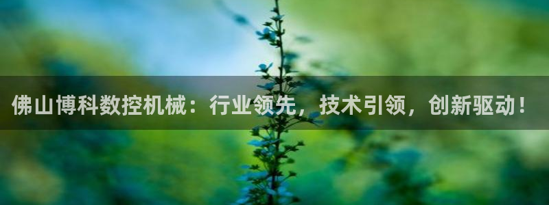 天辰彩票娱乐