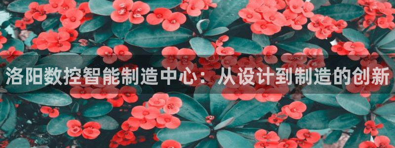 天辰娱乐小妹