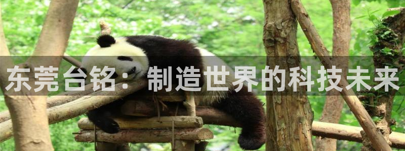 手机上怎么下载天辰娱乐