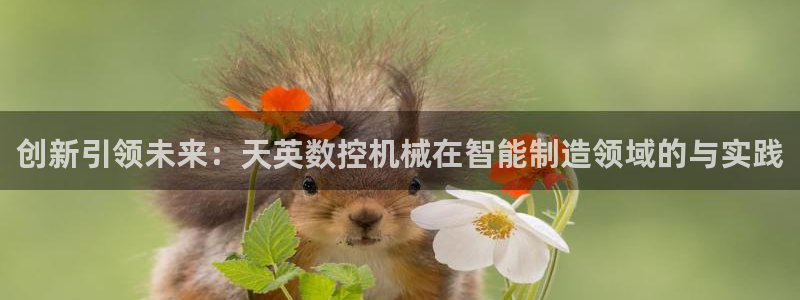 北京天辰娱乐：创新引领未来：天英数控机械在智能制造领域的与实践