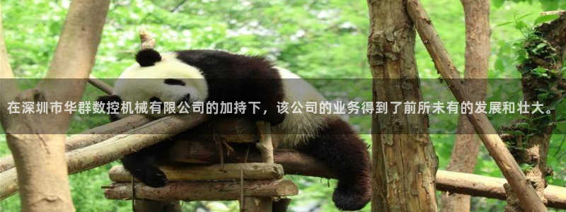 天辰娱乐指定：在深圳市华群数控机械有限公司的加持下，该公司的业务得到了前所未有的发展和壮大。