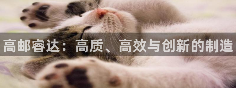 天辰娱乐平台注册：高邮睿达：高质、高效与创新的制造