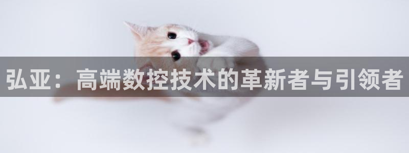 天辰娱乐网址娱乐游戏