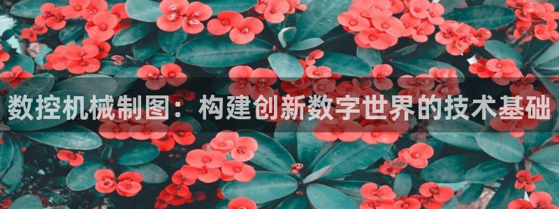 天辰娱乐-18113：数控机械制图：构建创新数字世界的技术基础