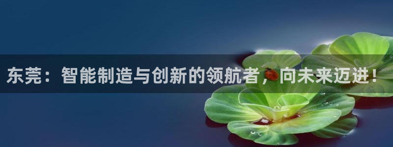 菲律宾天辰娱乐