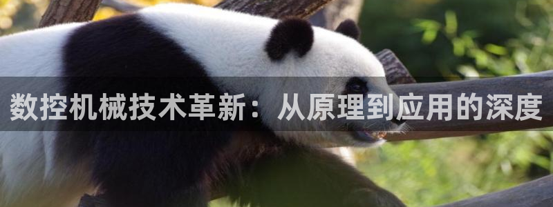集宁天辰娱乐