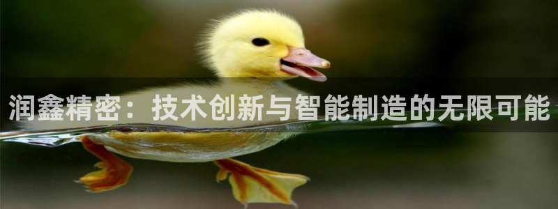 天辰娱乐游客