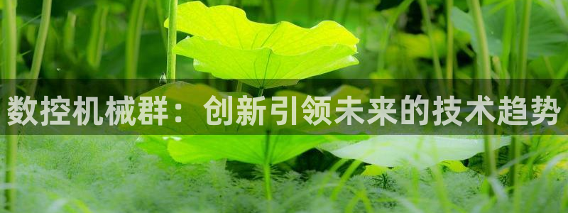 天辰娱乐appxi