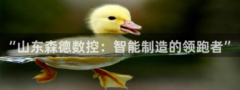 天辰娱乐平台app下载