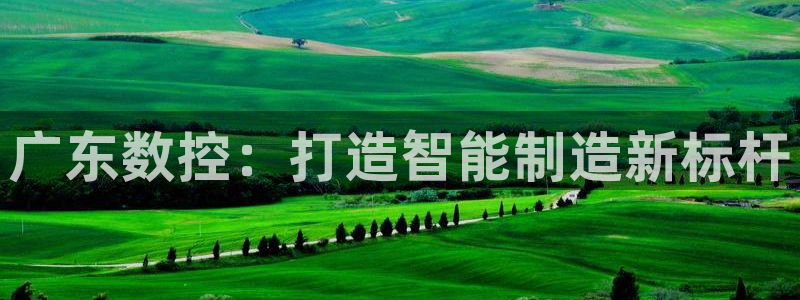 天辰娱乐说:广东数控:打造智能制造新标杆