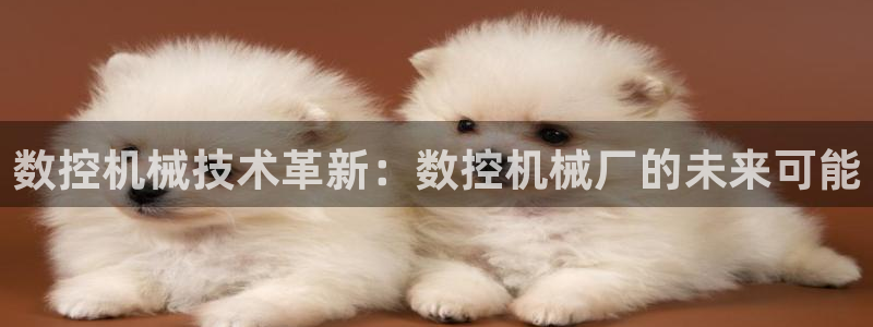 天辰娱乐天辰注册登录:数控机械技术革新:数控机械厂的未来可能