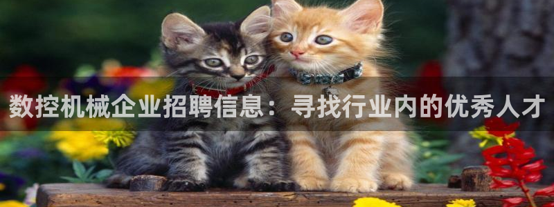 天辰娱乐元宝