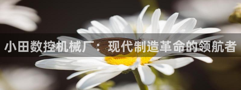 天辰娱乐10086