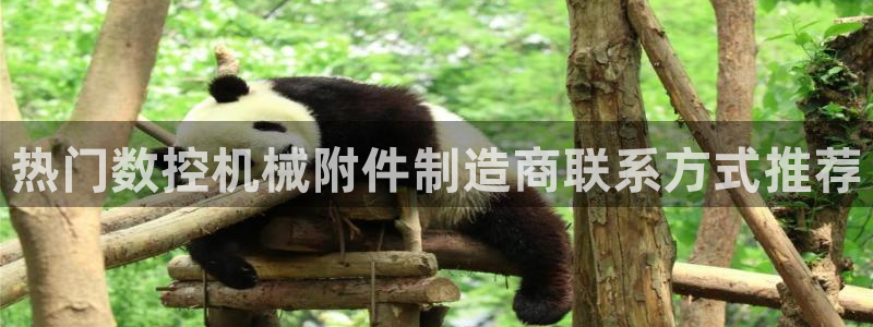天辰娱乐平台地址