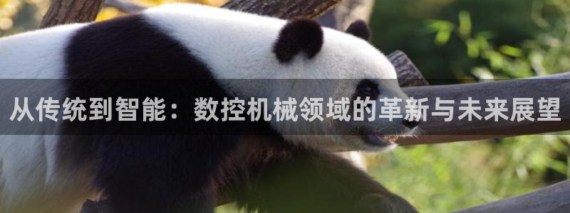 天辰娱乐平台地址在哪里