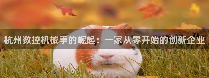 天辰娱乐公司