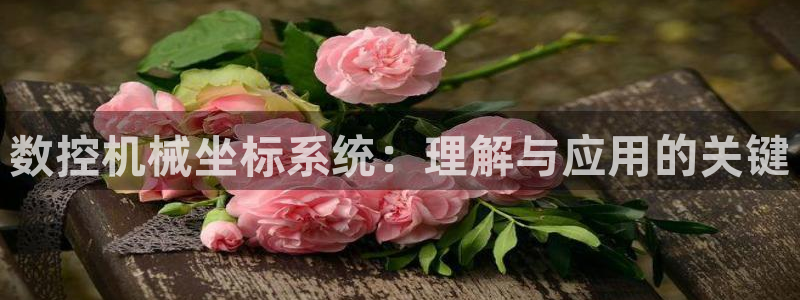 天辰娱乐指定