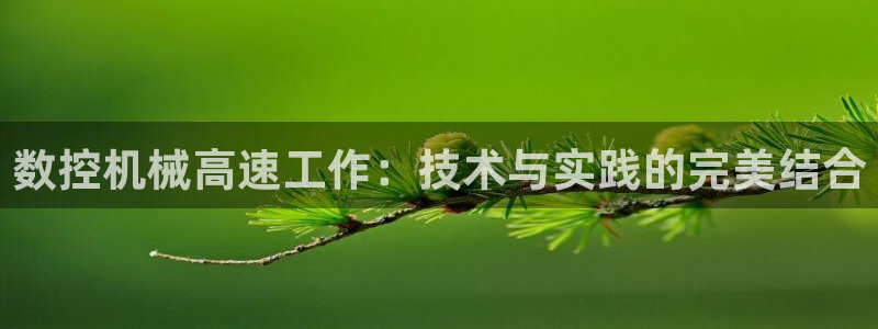 天辰娱乐总管年薪