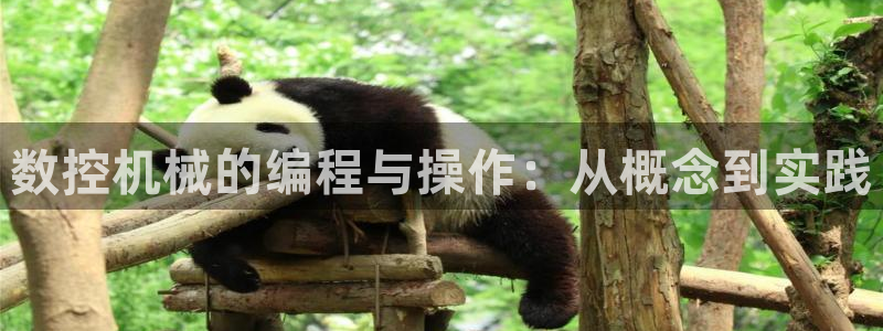天辰娱乐:数控机械的编程与操作:从概念到实践