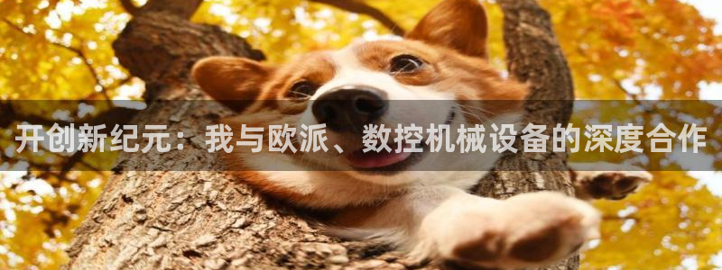 天辰宝宝娱乐