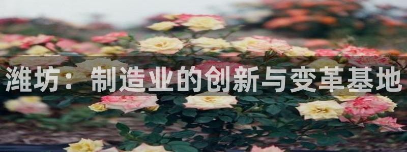 天辰娱乐957807
