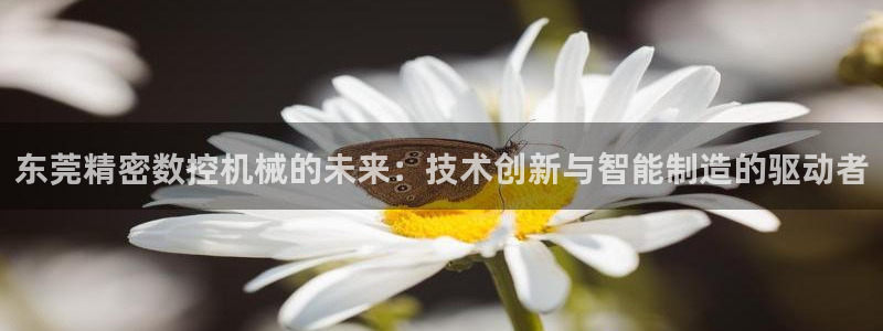 天辰娱乐 主管：东莞精密数控机械的未来：技术创新与智能制造的驱动者