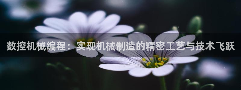 天辰娱乐酒店：数控机械编程：实现机械制造的精密工艺与技术飞跃