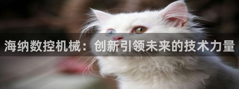 天辰娱乐白屏