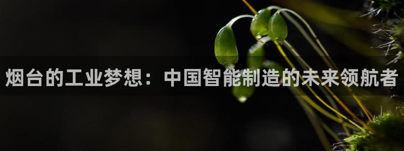 北京天辰娱乐