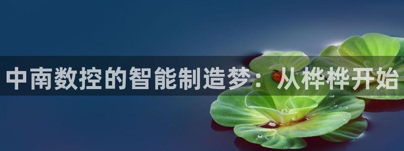 天辰娱乐连接：中南数控的智能制造梦：从桦桦开始