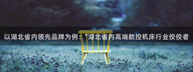 天辰娱乐10086：以湖北省内领先品牌为例：\