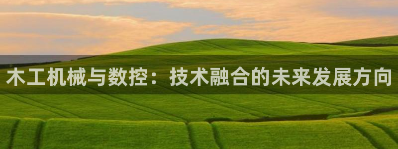 天辰娱乐说：木工机械与数控：技术融合的未来发展方向