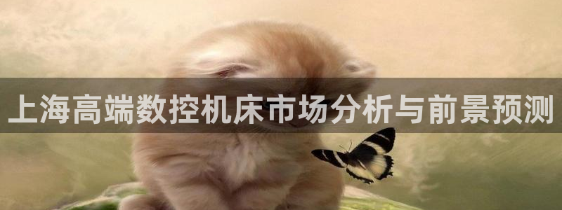 天辰娱乐登陆平台