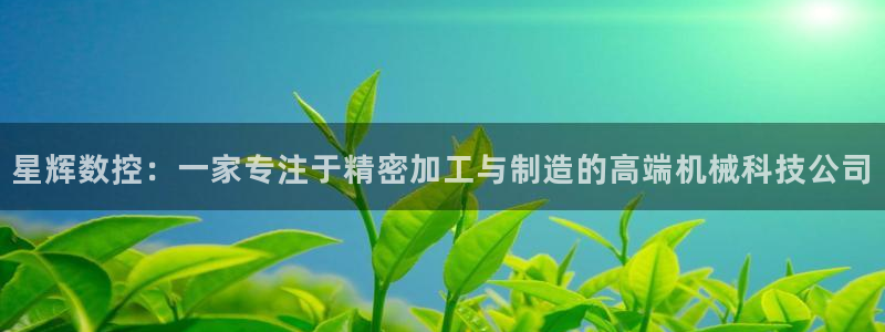 天辰娱乐登陆：星辉数控：一家专注于精密加工与制造的高端机械科技公司