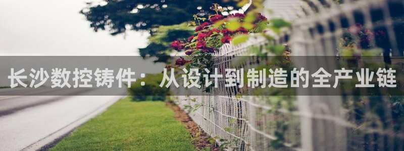 天辰娱乐平台入口