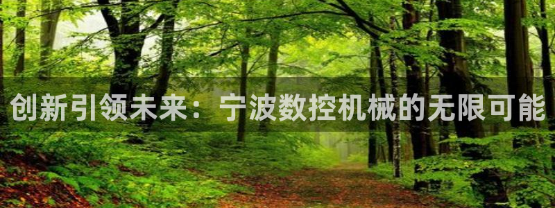 天辰娱乐登录网址:创新引领未来:宁波数控机械的无限可能