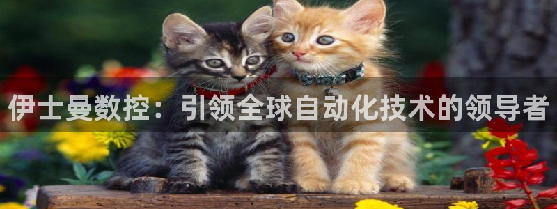 天辰娱乐平台安全吗