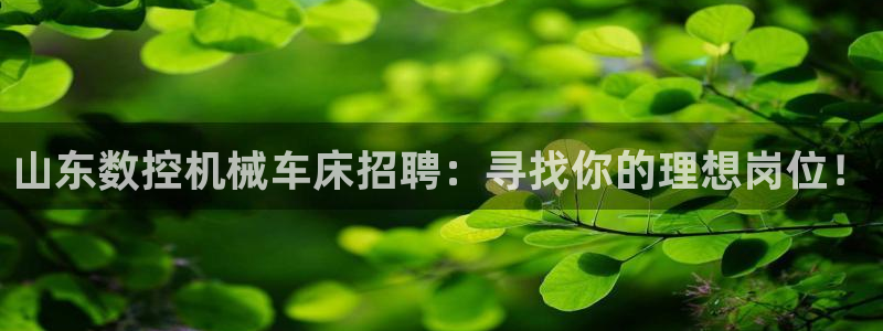 天辰娱乐下载地址